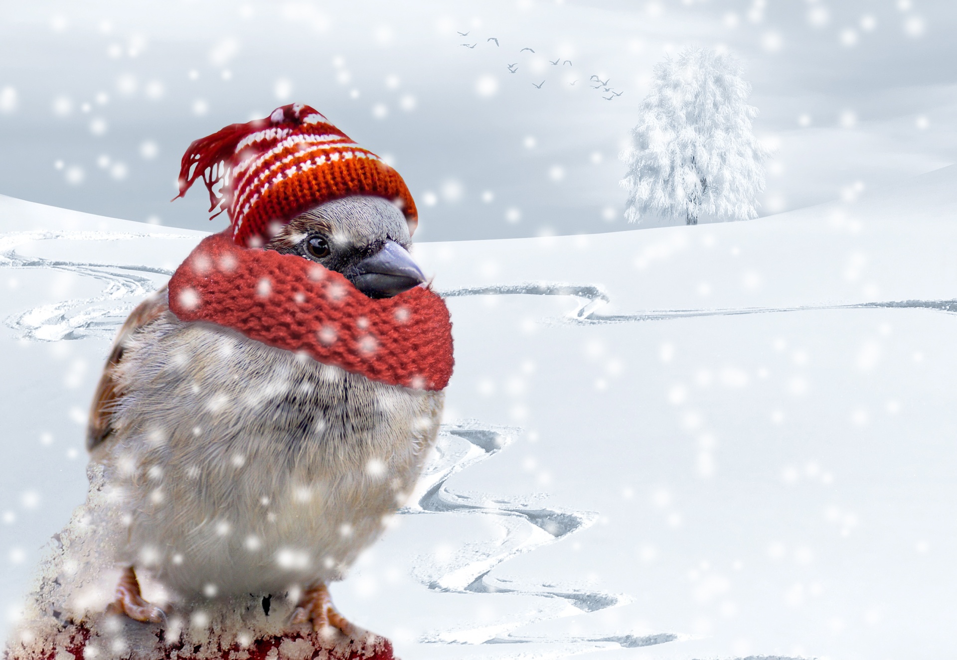 Cold little sparrow bird with hat and scarf