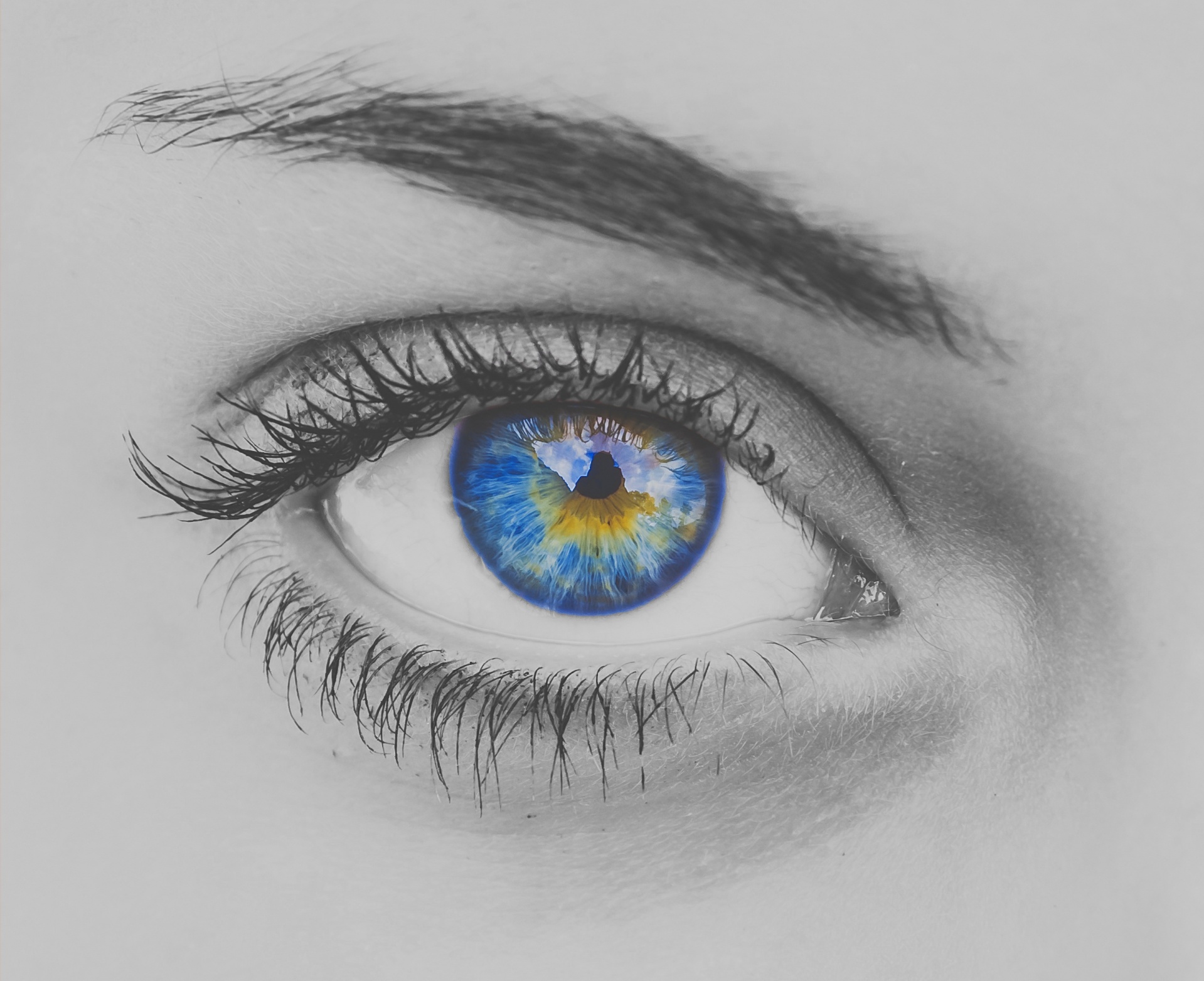 Blue eye of a woman