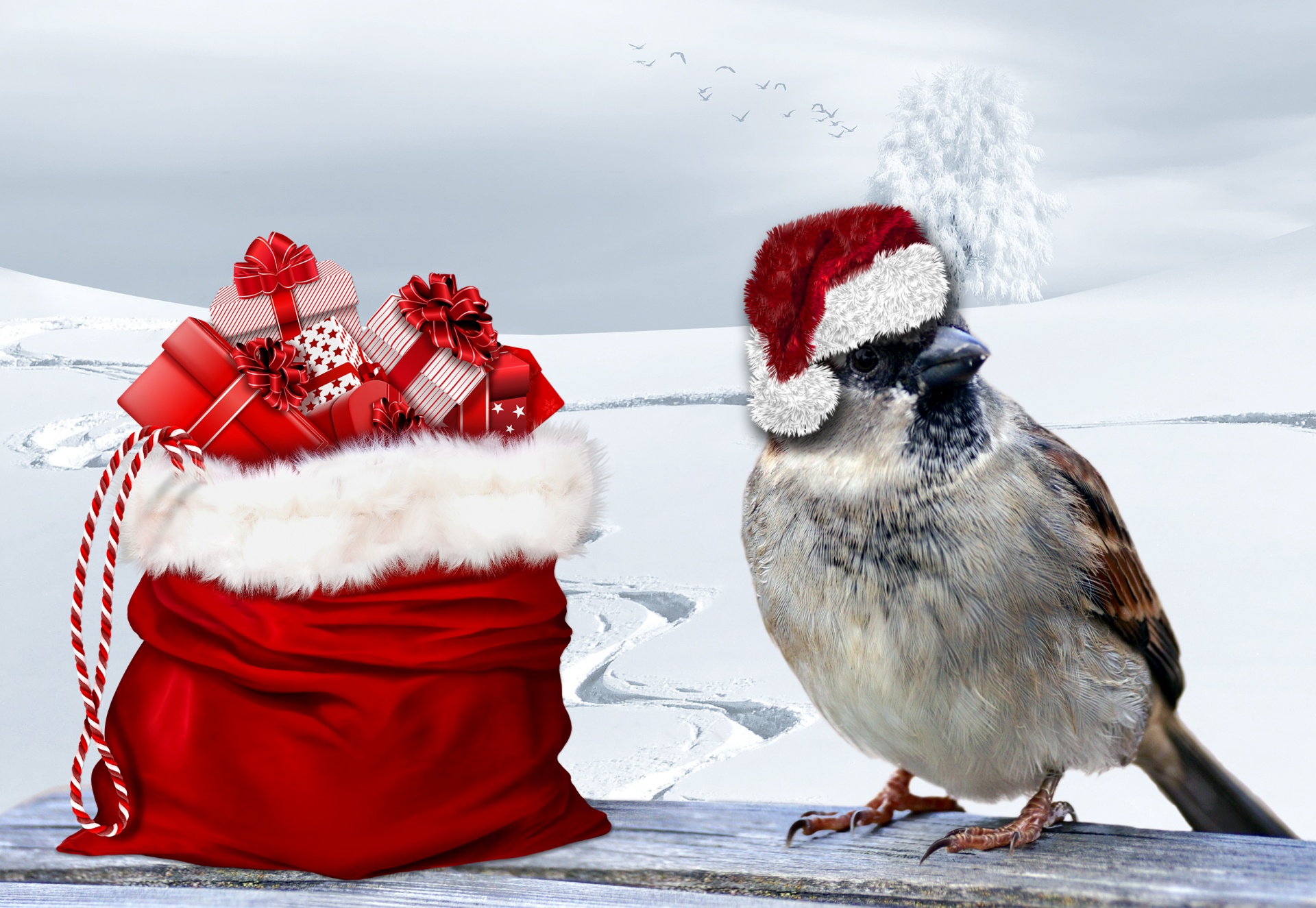 Christmas sparrow in santa hat with sack of gifts