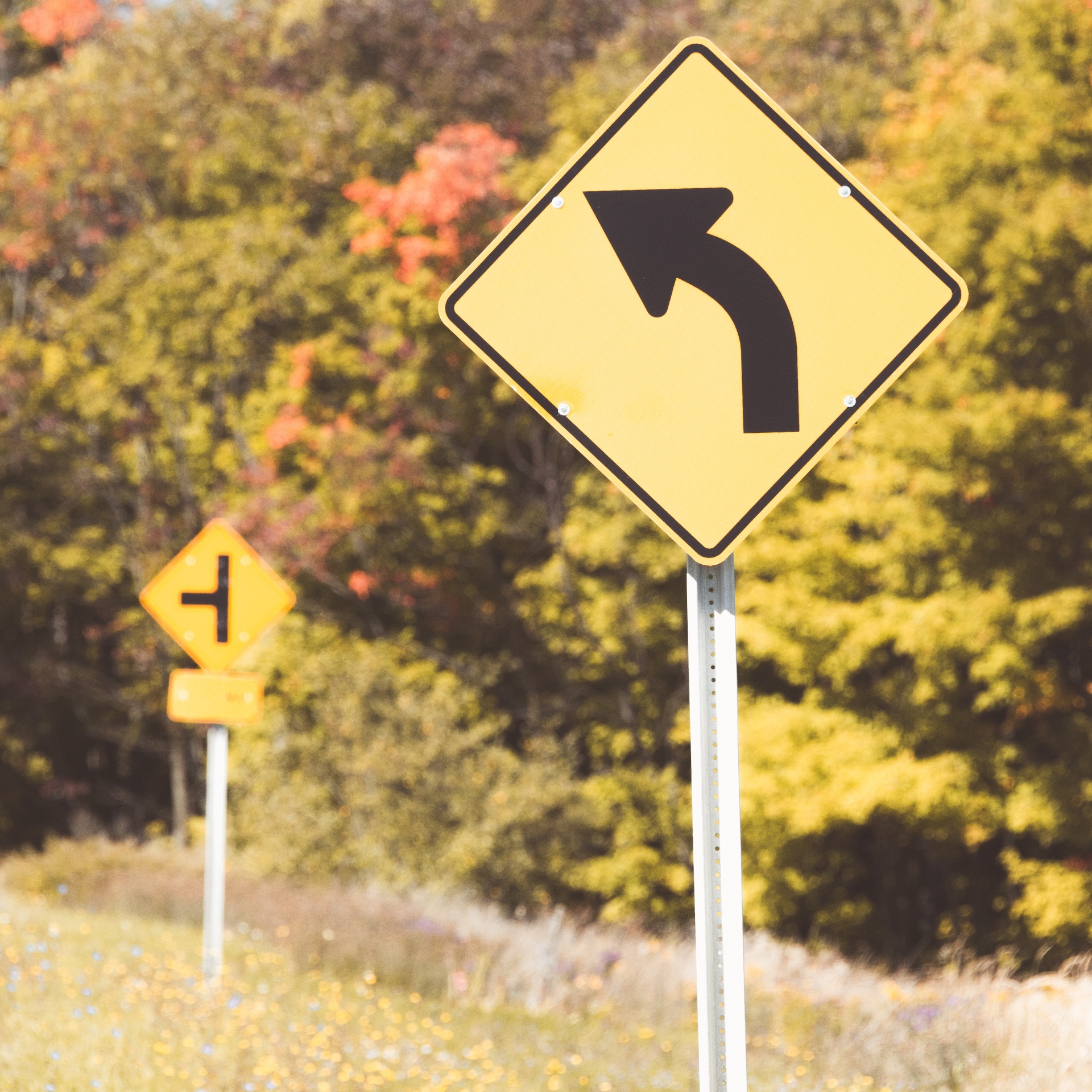 Yellow curved arrow road sign in autumn