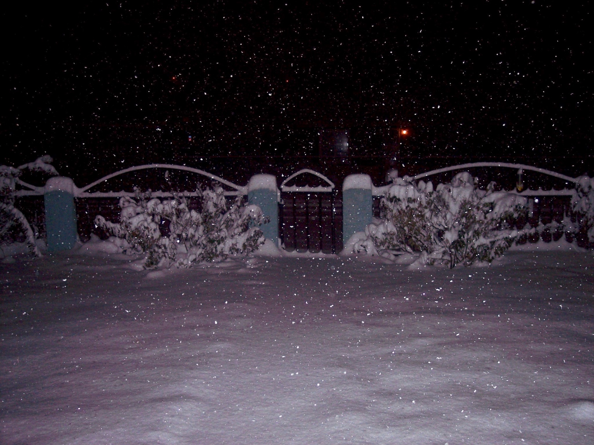 This photo was taken on the first heavy snow of 2009 in Western Colorado.