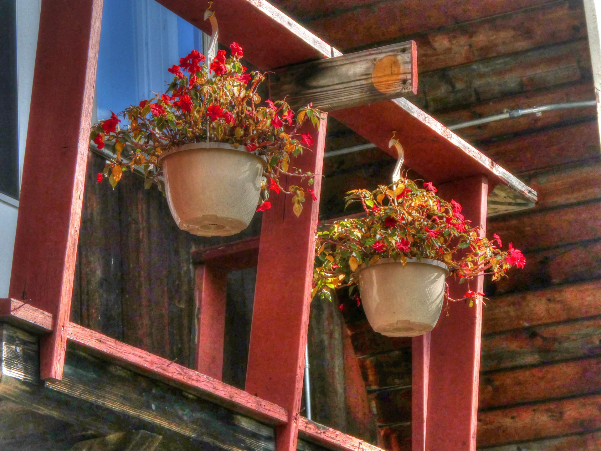 artistic touch applied to photograph of two flower pots hanging from a balcony filled with flowers