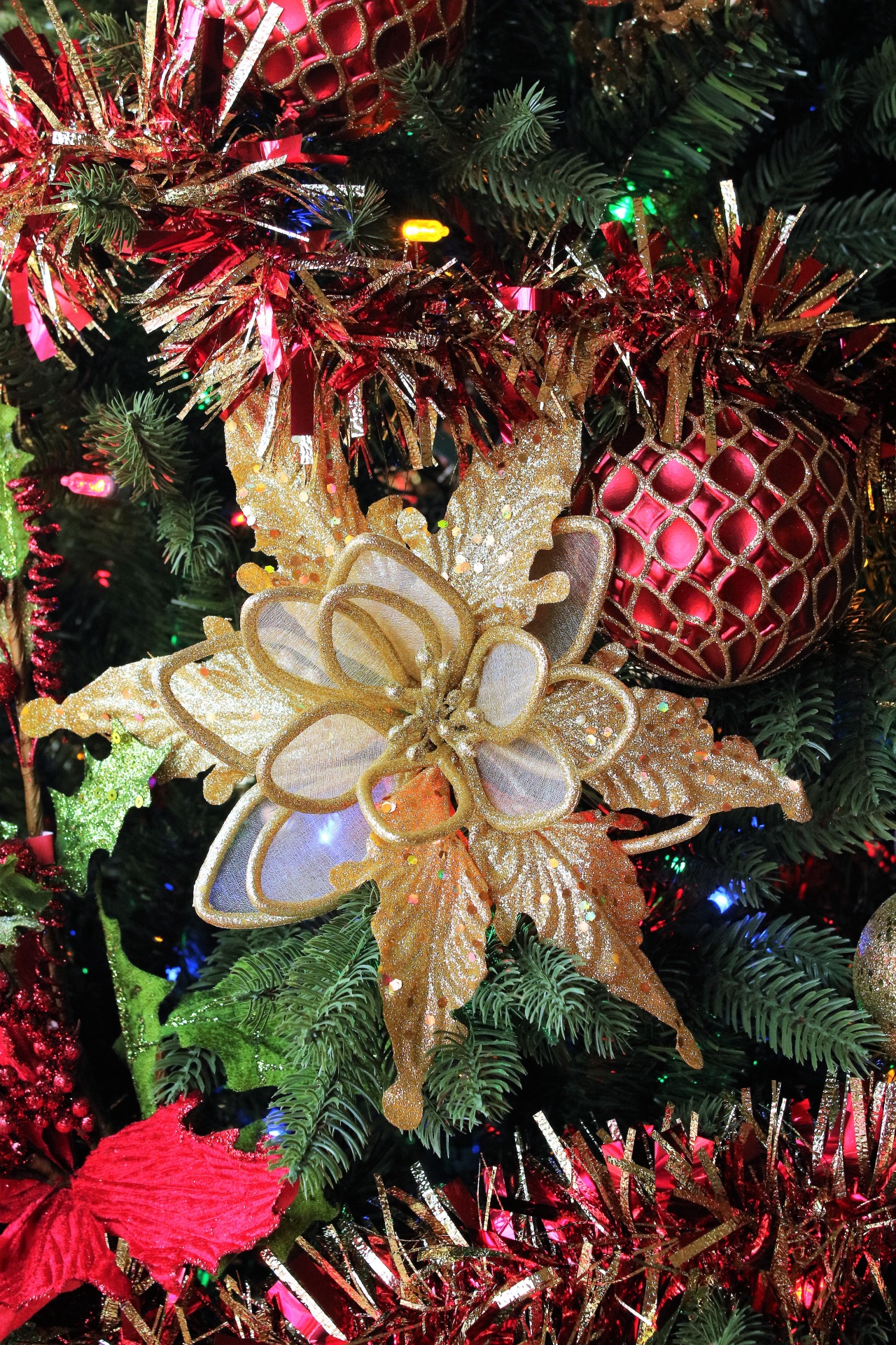Gold Poinsettia And Red Tinsel