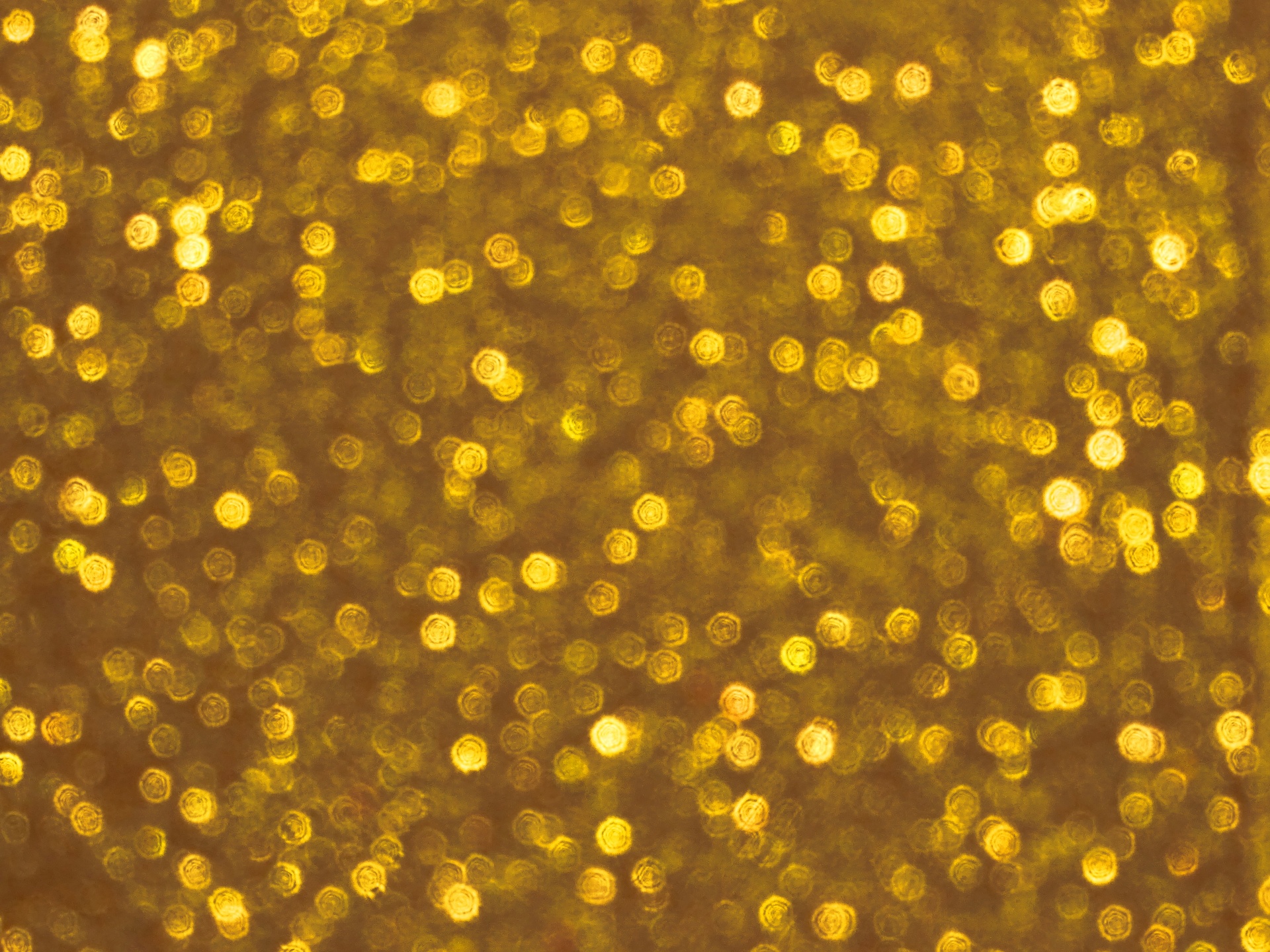 Golden Soft Sparkling Background