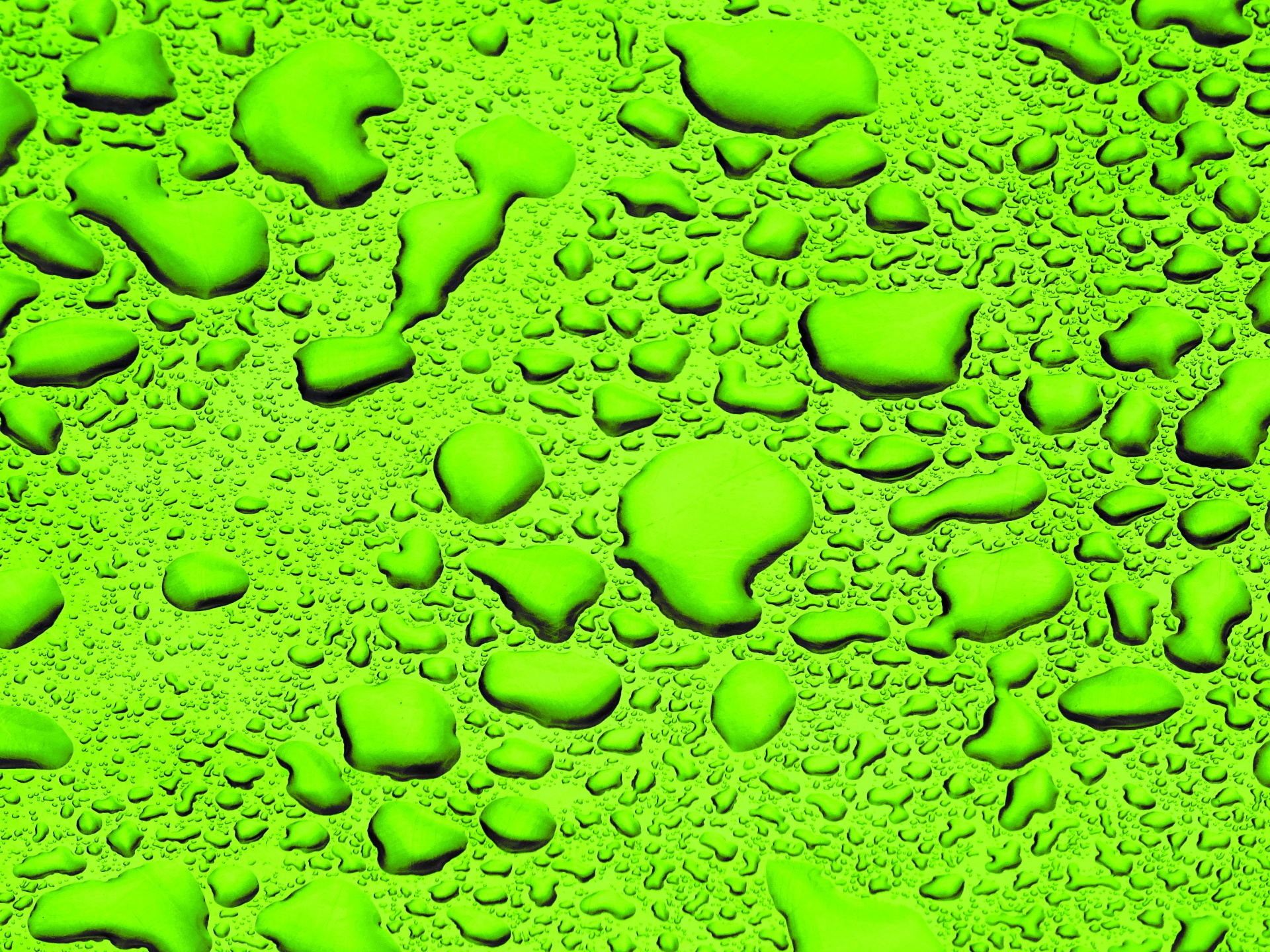 Green Background Water Droplets