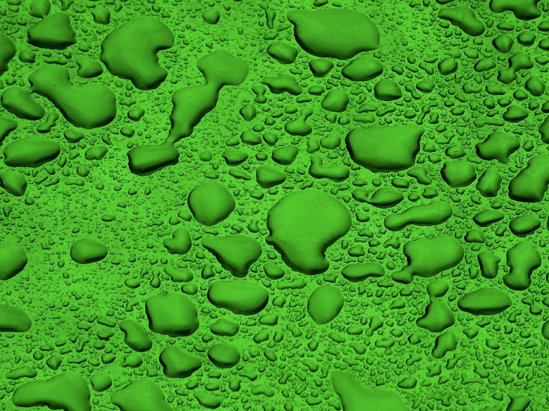 Green Background Water Droplets