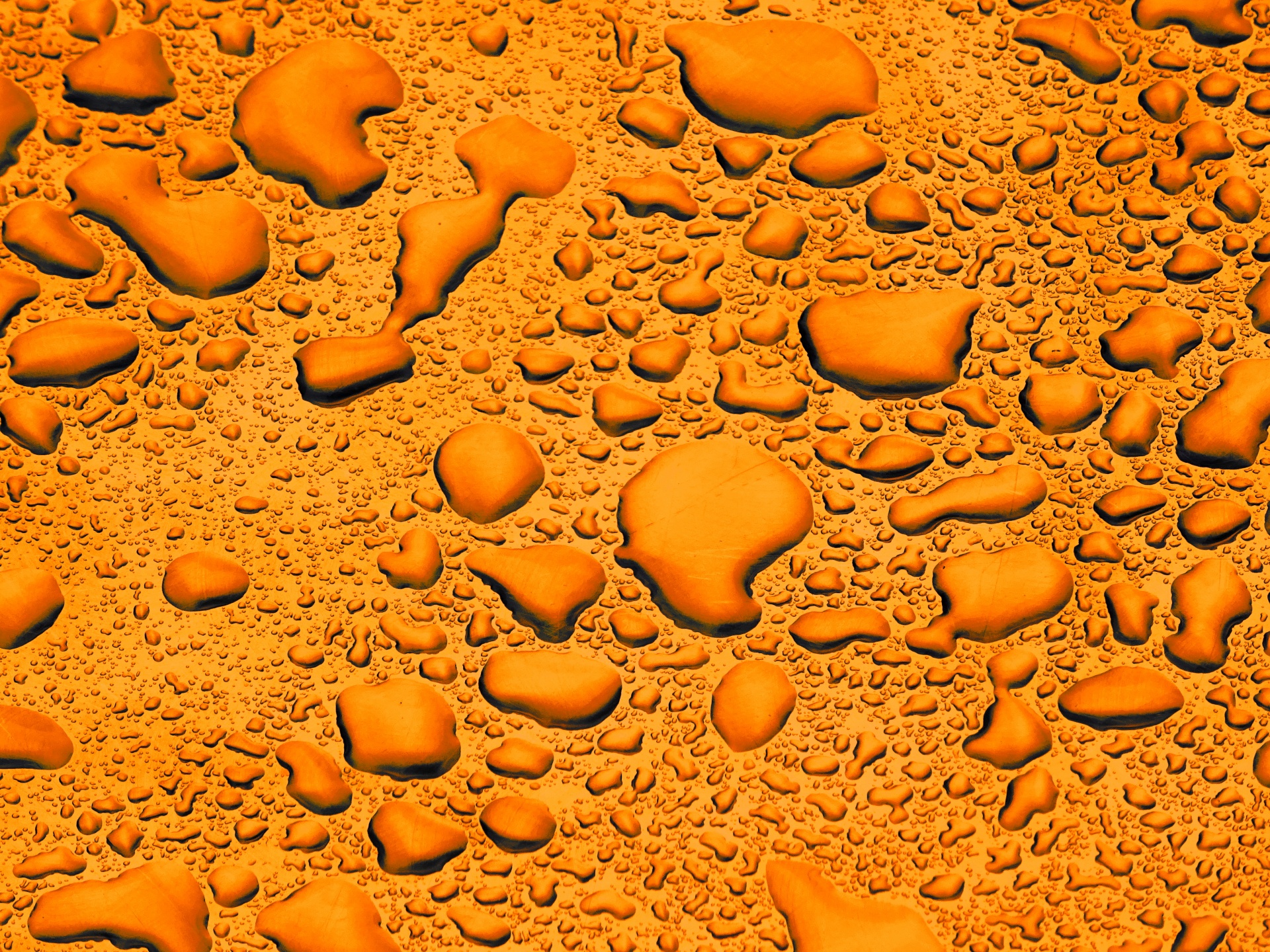 Orange Background Water Droplets