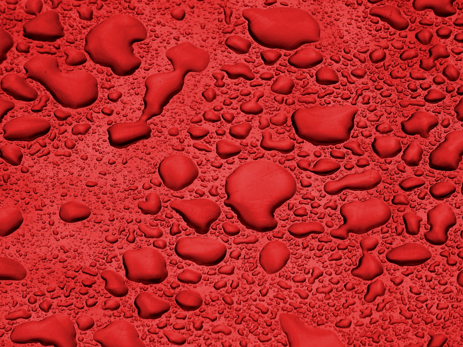Red Background Water Droplets