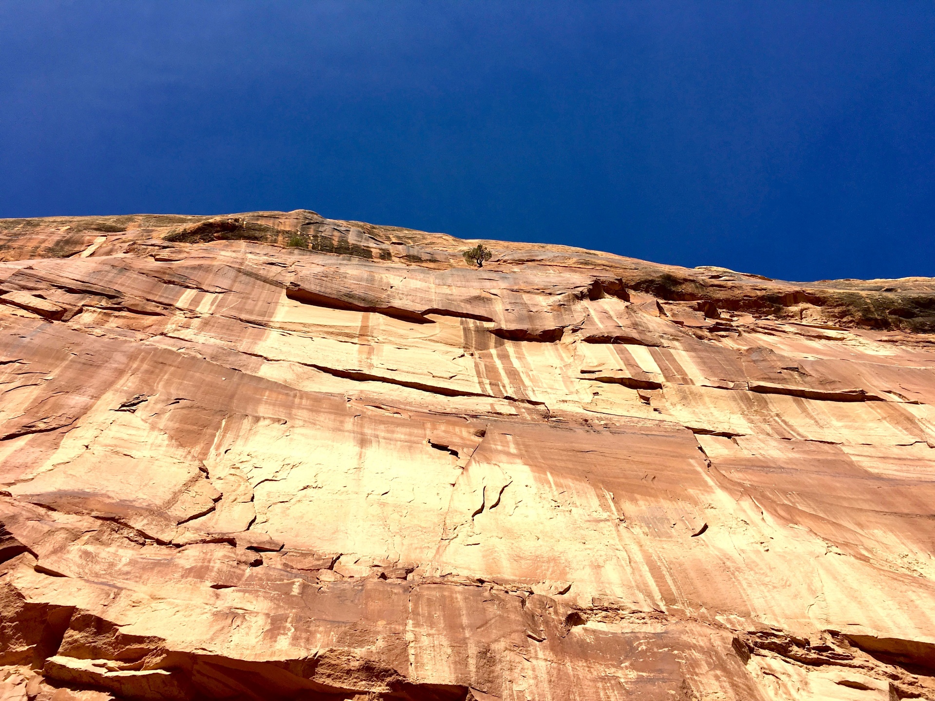 A tall cliff, seen from the ground looking up, in Western Colorado. Found along the Independence Monument trail in the Colorado National Monument.