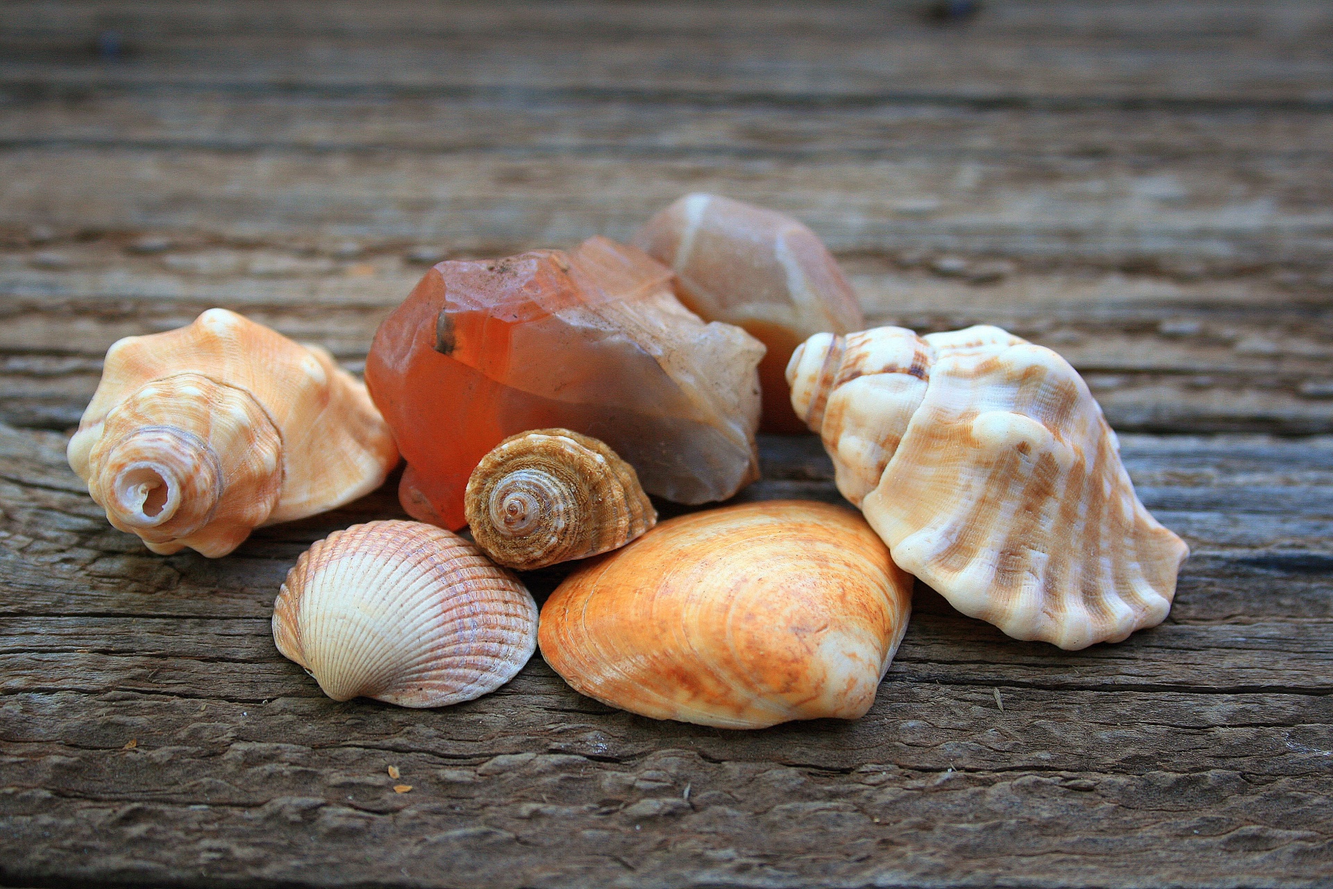 Shells And Semi-precious Stone
