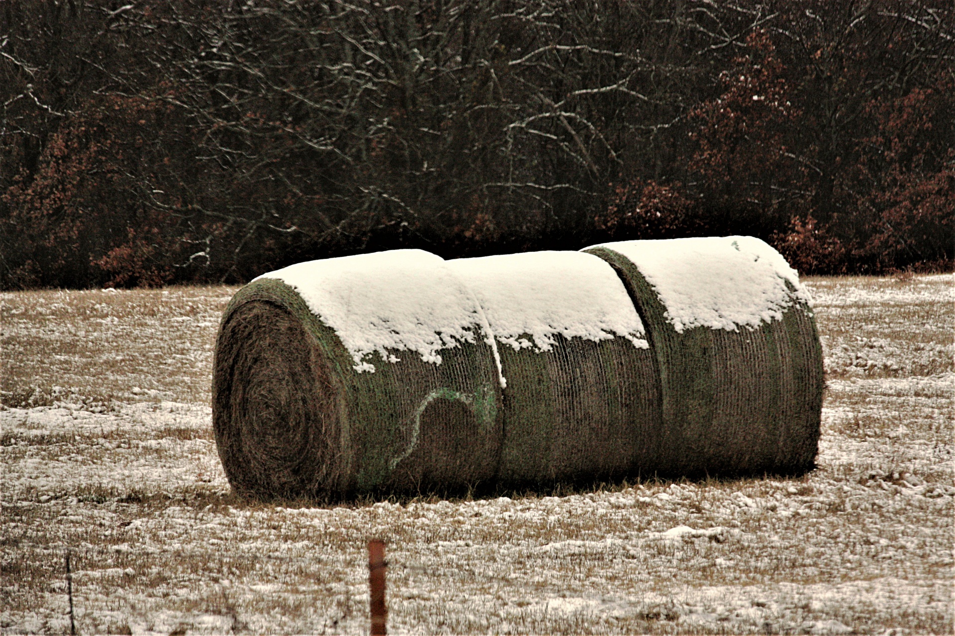 Snow Covered Round Hay Bales