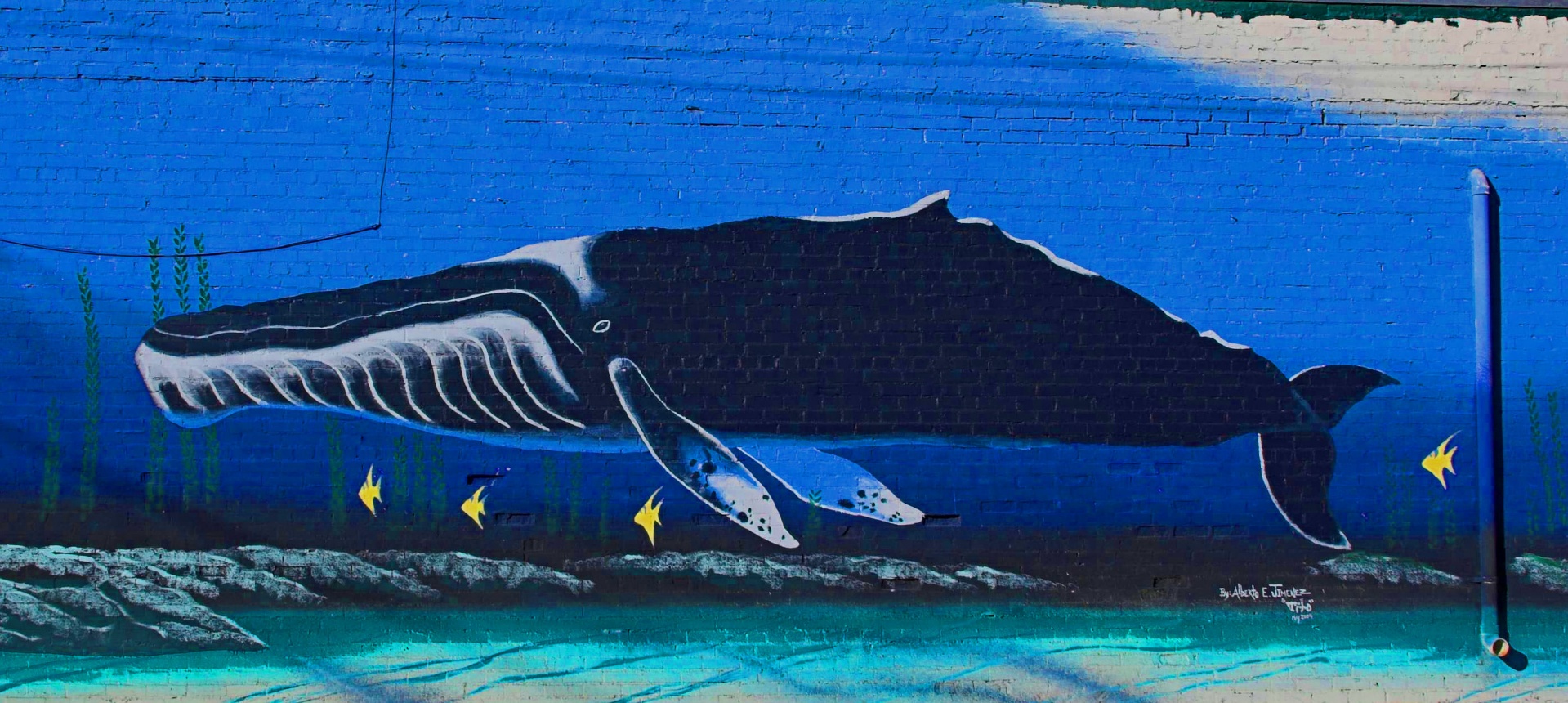Whale Art