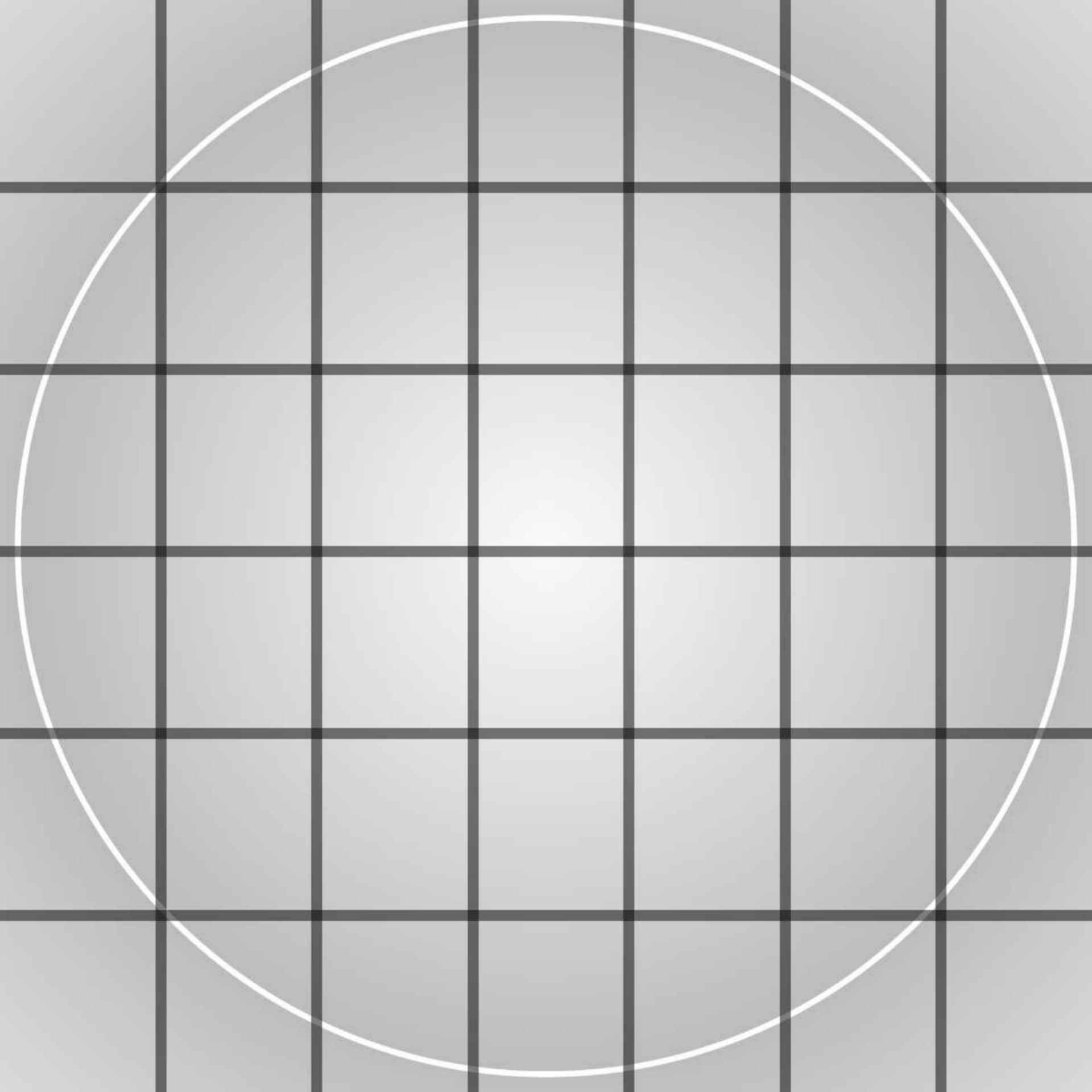 White Circle With Black Grid