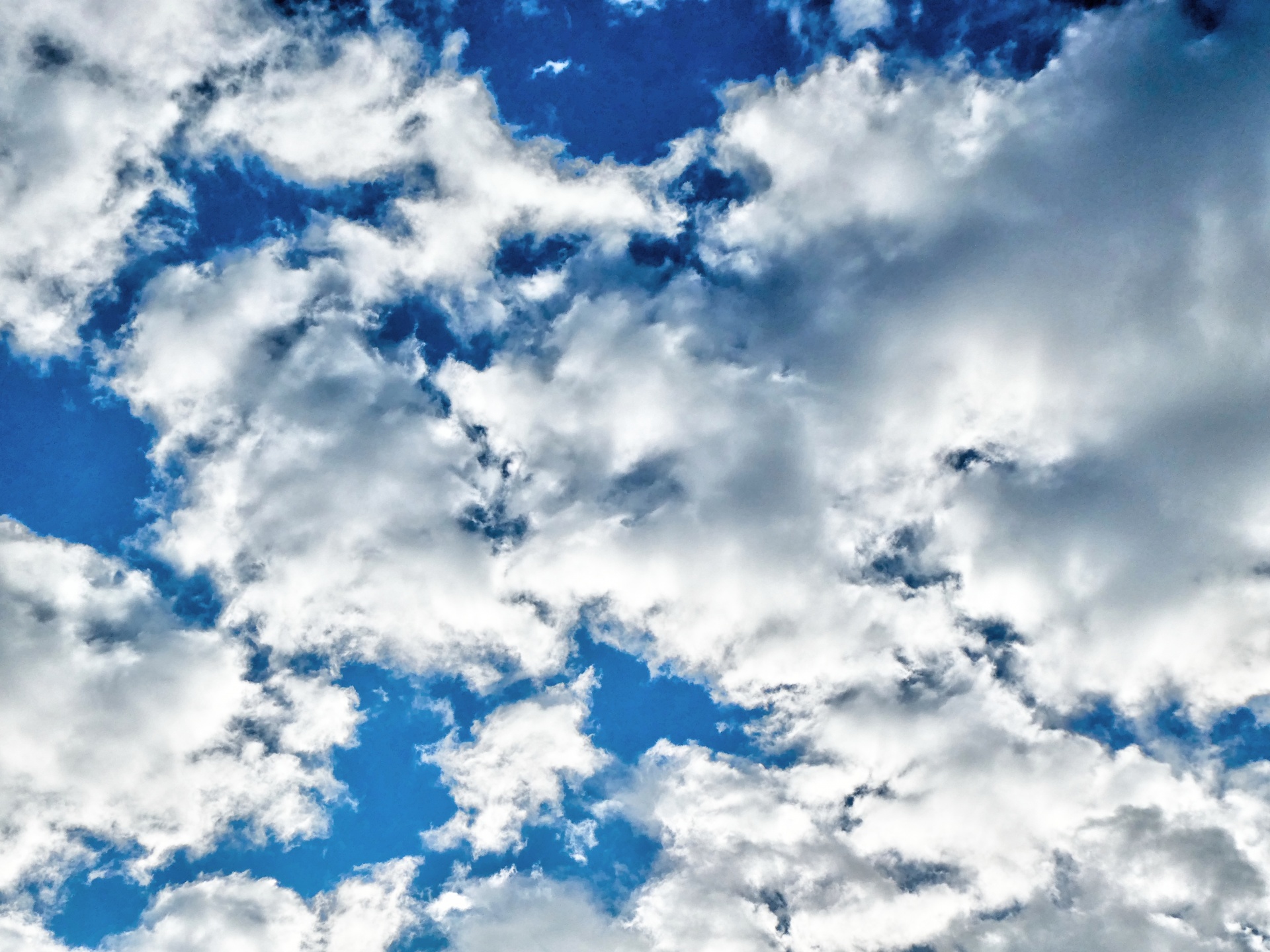 wallpaper created from photo of blue sky full of small white clouds