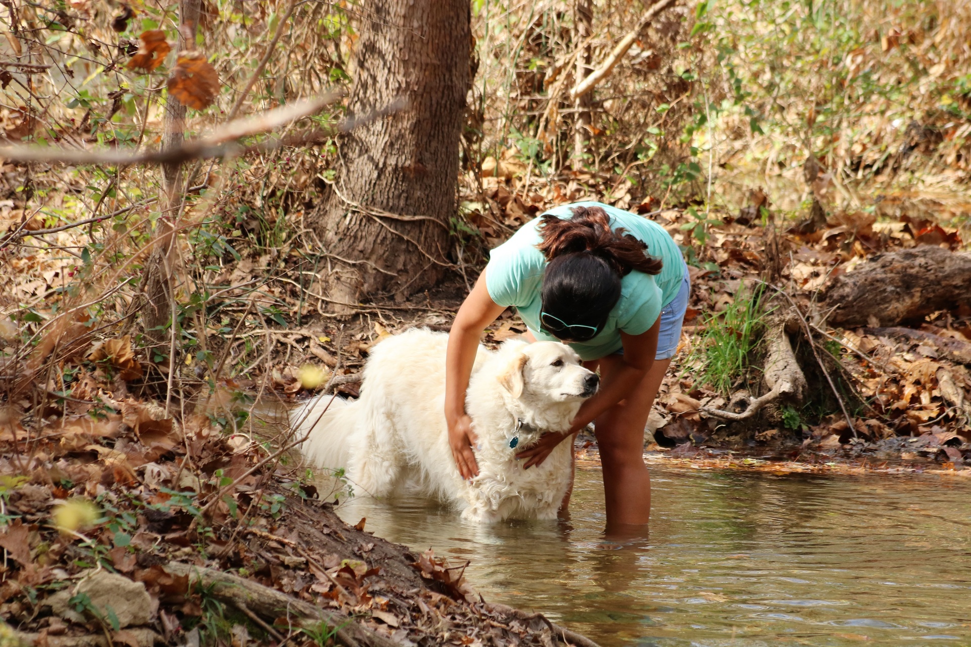 Woman And Dog In Fall Creek