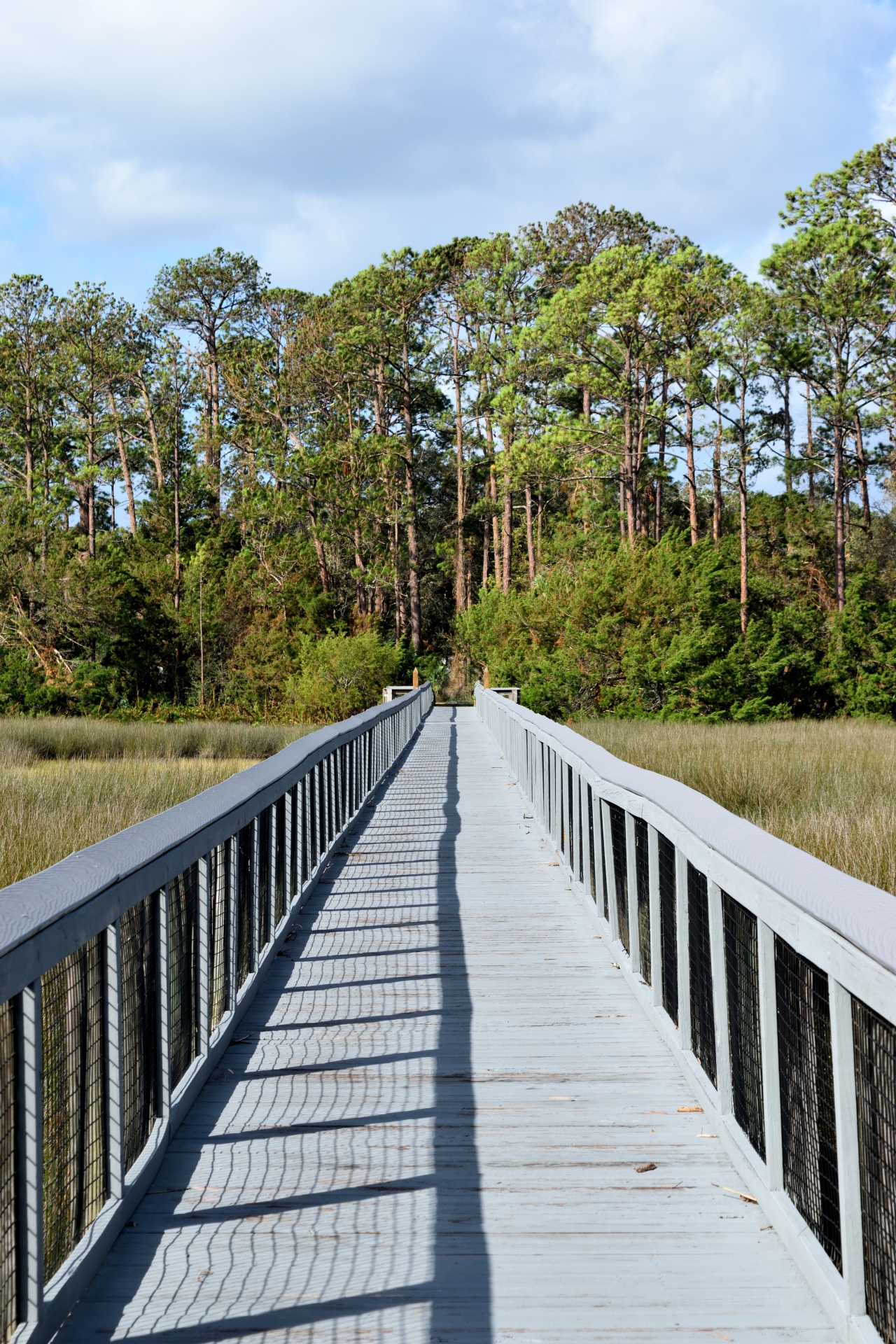 Wooden walkway at the marshland of Florida, USA