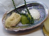 Abalone Jade Spa
