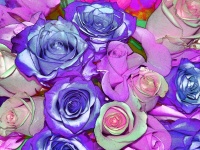 Artistic Roses Background