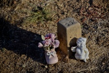 Baby's Grave