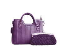 Bag And Purse Purple