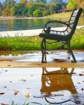 Bench After The Rain