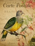 Bird Vintage Postcard Painting
