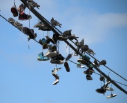 Birds And Sneakers On Wire