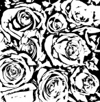 Black And White Sketched Roses