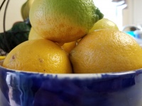 Bowl Of Lemons