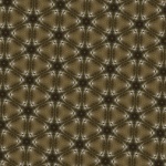 Brown Kaleidoscope
