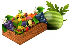 Box With Fruits
