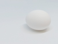 Closeup White Egg