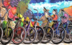 Color Bikes For Rent