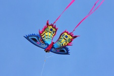 Colorful Butterfly Kite 2