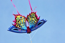 Colorful Butterfly Kite