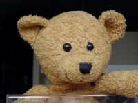 Cute Teddy Bears Face