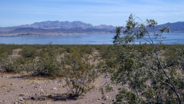Desert Lake Landscape