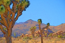 Desert Mountain Landscape Cartoon