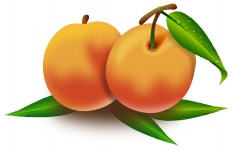 Two Peaches