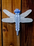 Dragonfly Thermometer