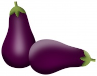 Two Eggplants