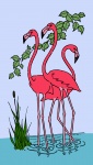 Flamingo Colorful Illustration
