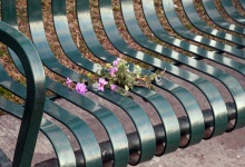 Flowers On Bench