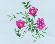 Flowers Watercolor Background