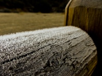 Frost On A Fence