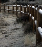 Frosted Fence