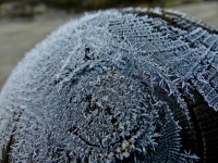 Frosty Crystals On A Post