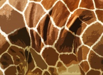 Giraffe Skin Pattern Background