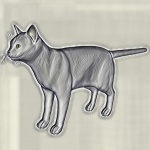 Grey Cat Sketch