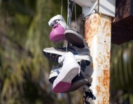 Hanging Tennis Shoes